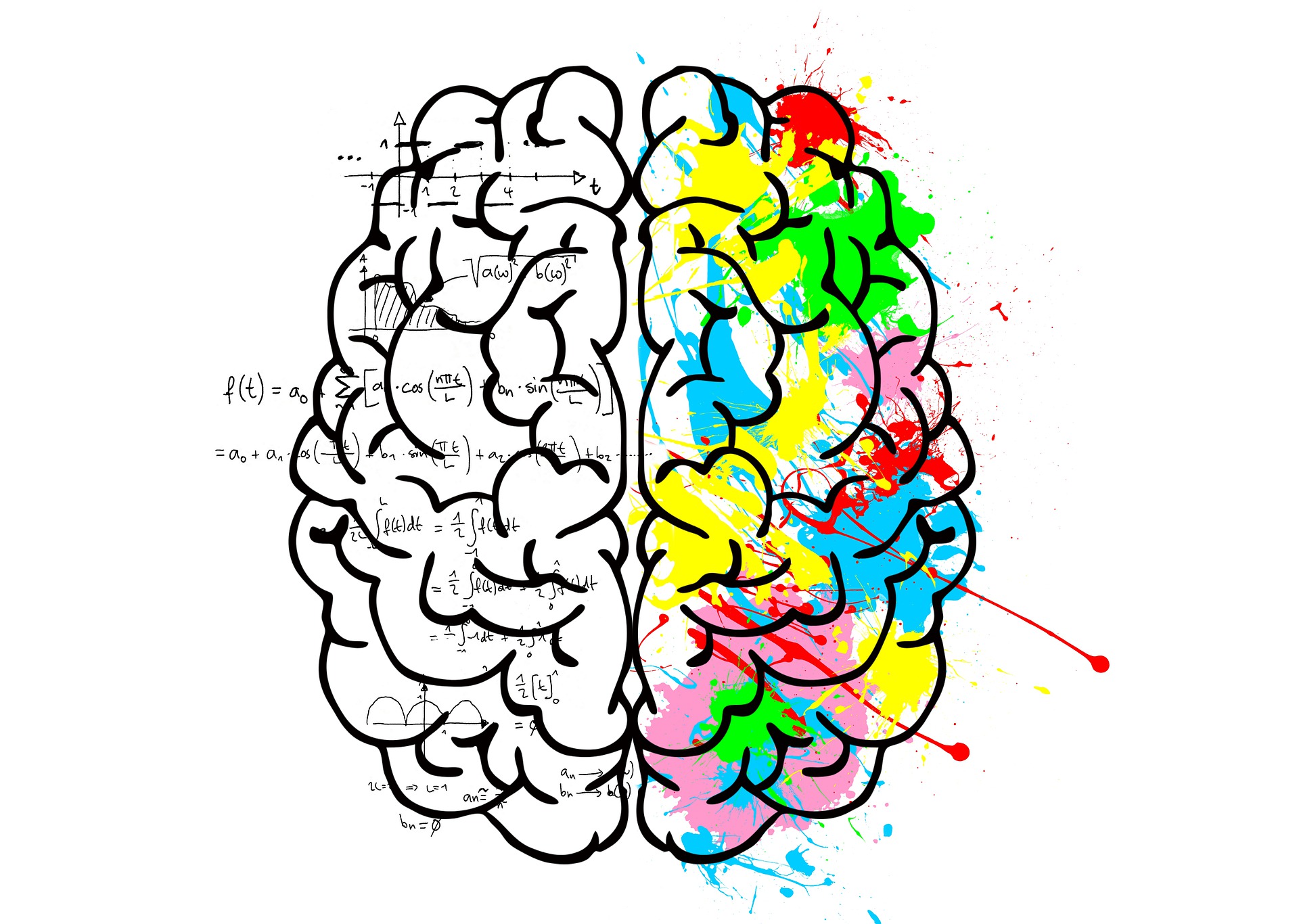 Творчество полушарие. Полушария мозга. Левое полушарие. Левое полушарие мозга. Левое и правое полушарие мозга.